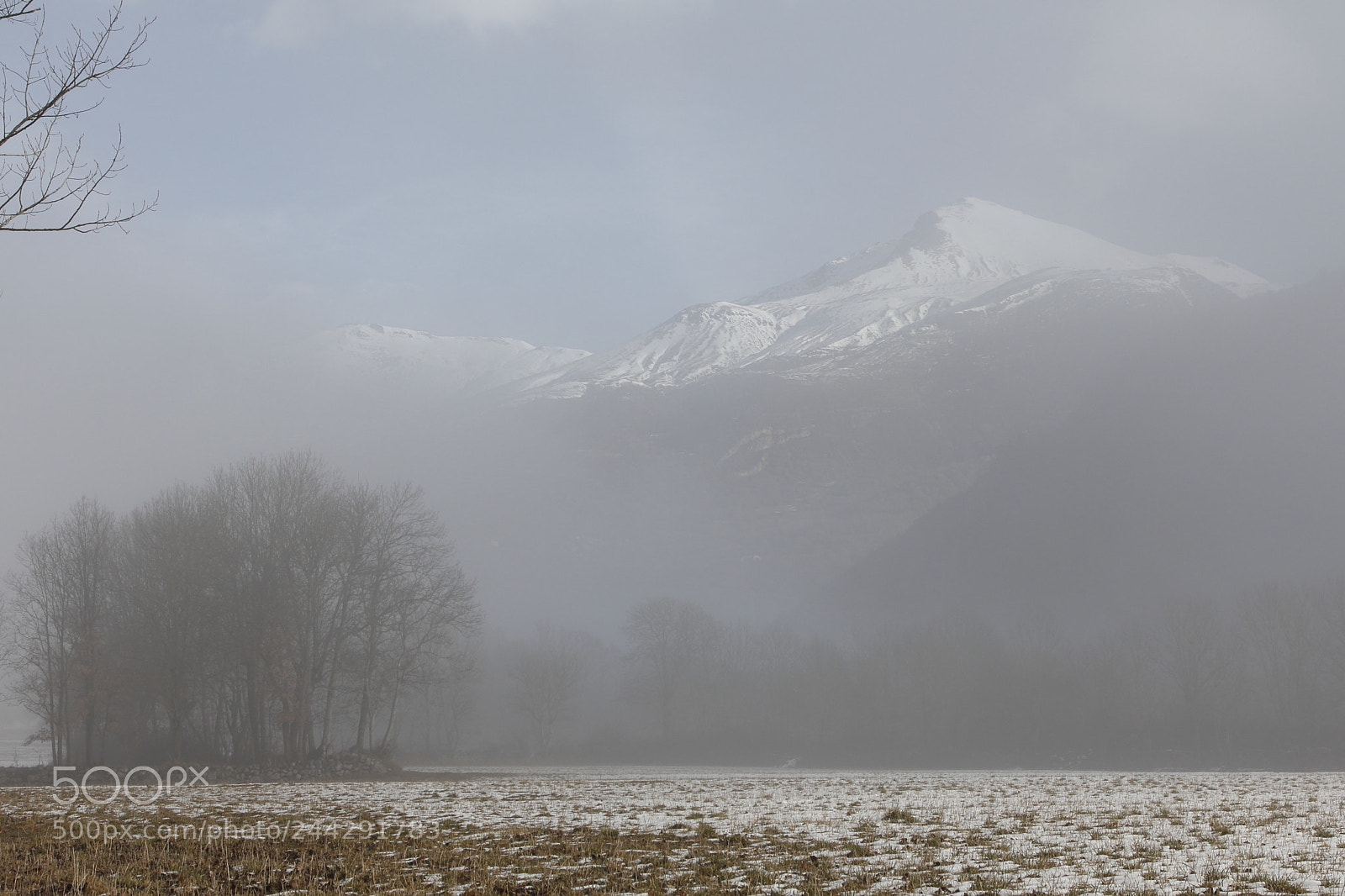 Canon EOS 60D + Canon EF 24-105mm F4L IS USM sample photo. Paisaje con niebla photography