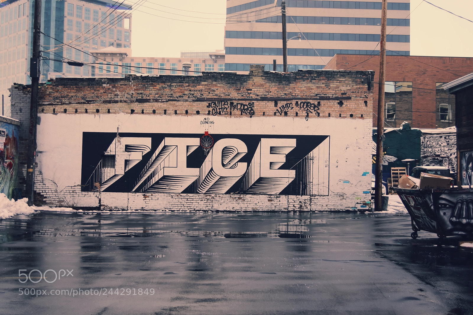 Nikon D7200 sample photo. Fice photography
