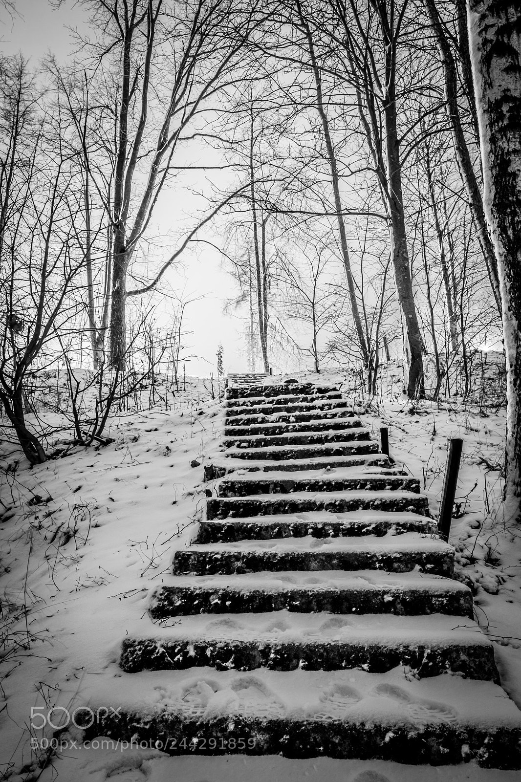 Fujifilm X-T20 sample photo. Winter steps photography