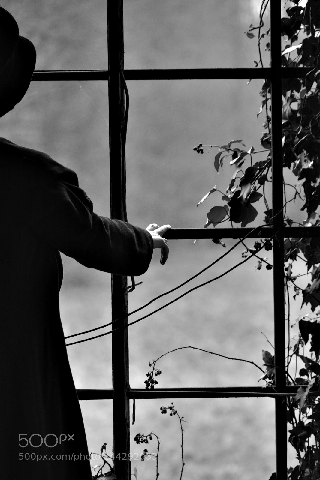 Nikon D7100 sample photo. La vue sur nulle photography