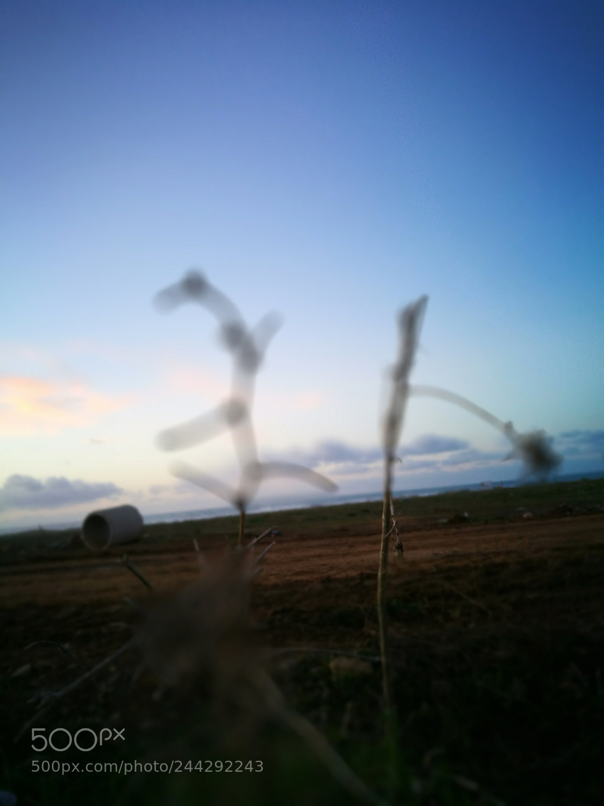 HUAWEI P9 Plus sample photo. Untitled photography