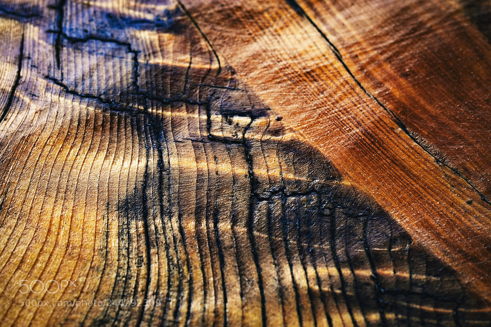 Nikon D5500 sample photo. Abstract structure of lacquered photography