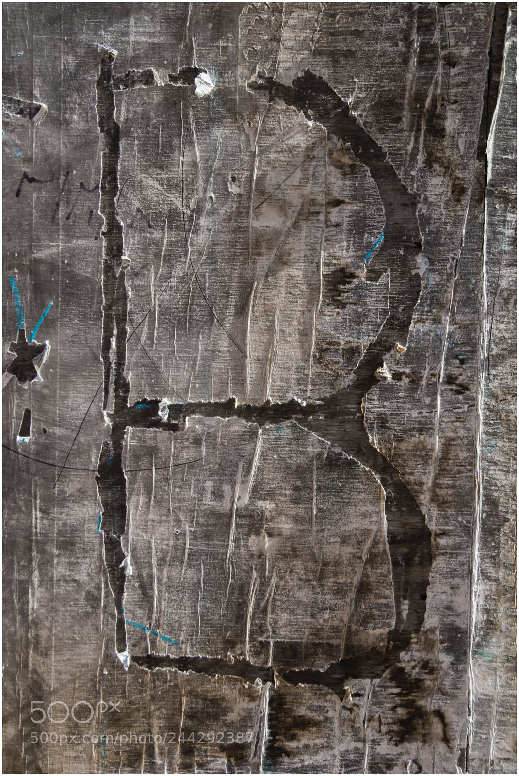 Nikon D500 sample photo. "b" in organic typography photography