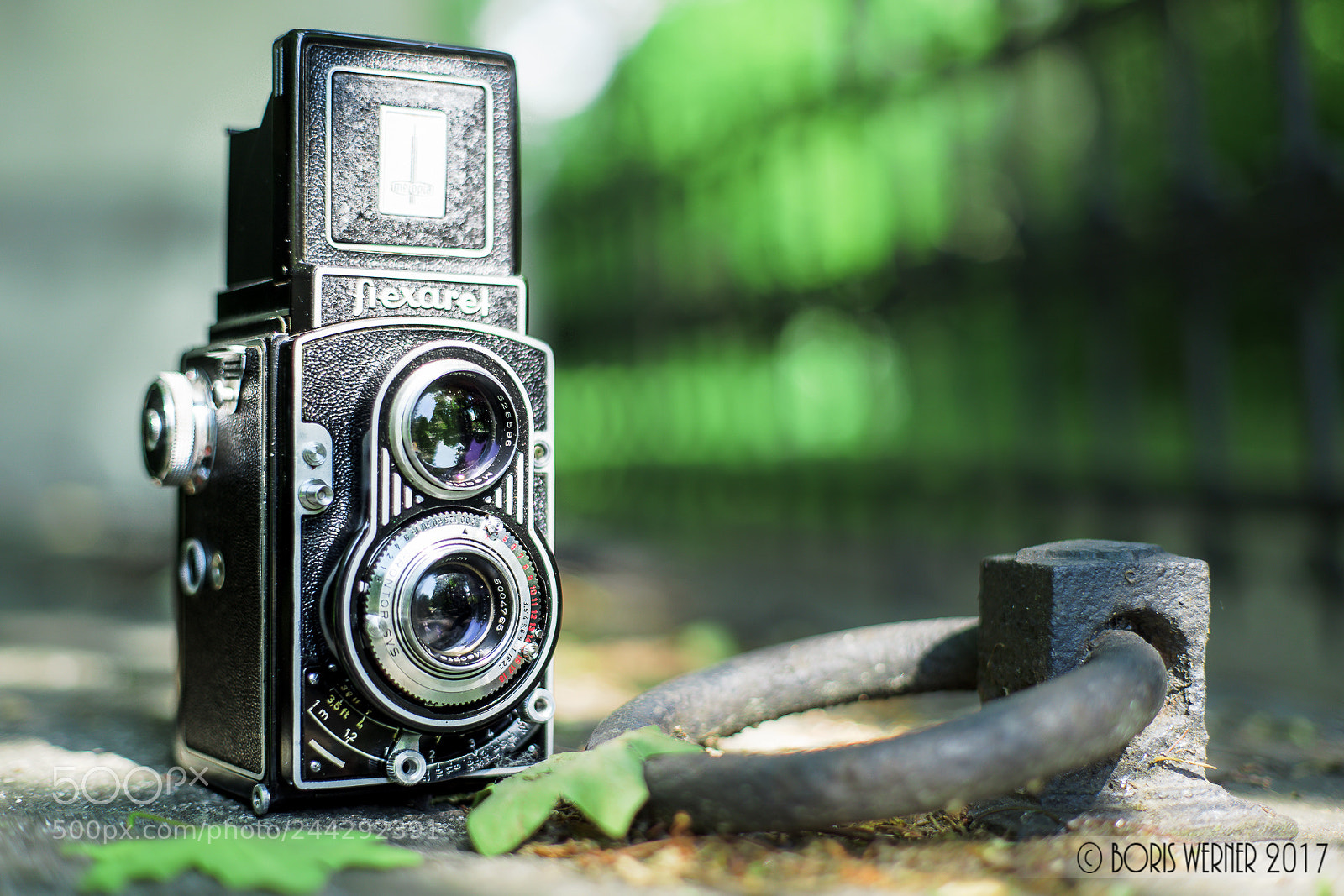 Sony SLT-A99V sample photo. Flexaret v photography