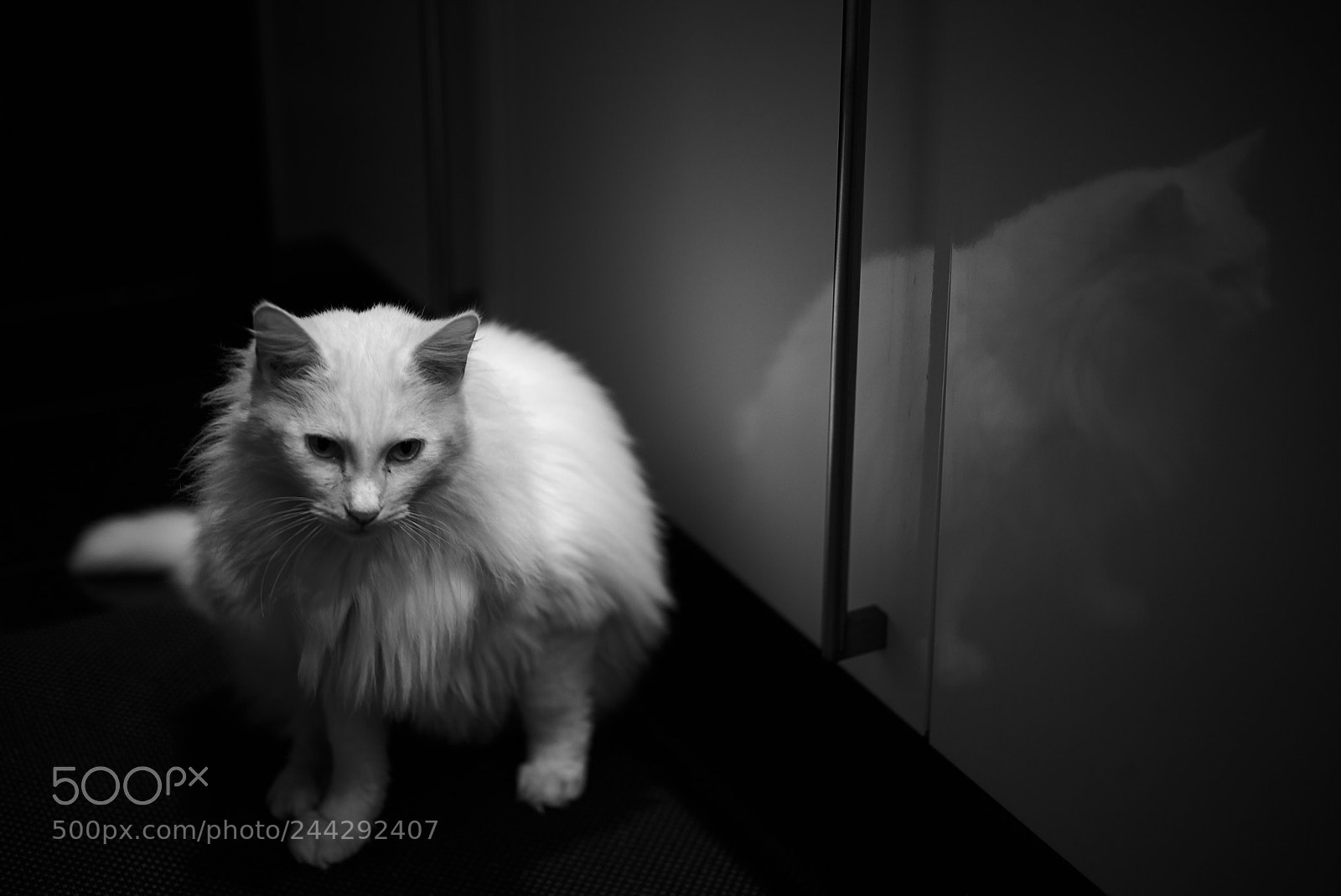 Leica M (Typ 262) sample photo. ... photography