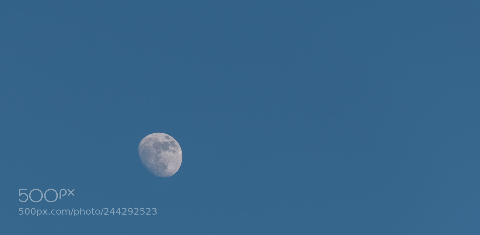 Nikon D5600 sample photo. The moon photography