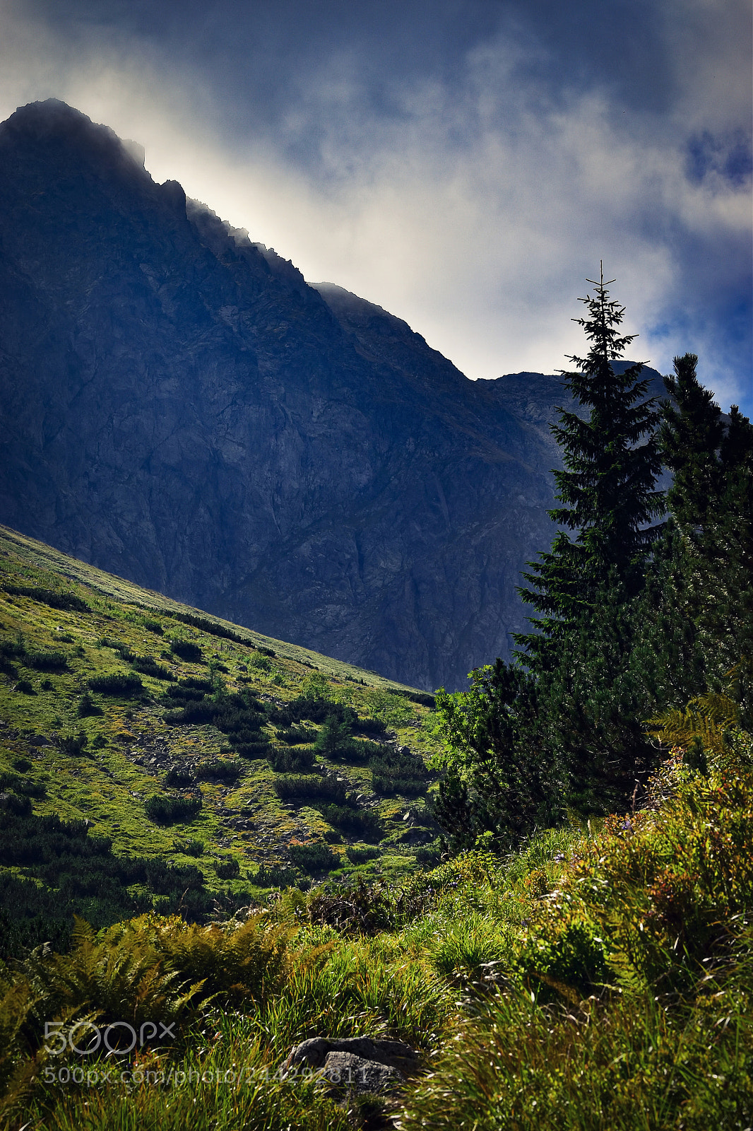 Nikon D5500 sample photo. In the mountains before photography