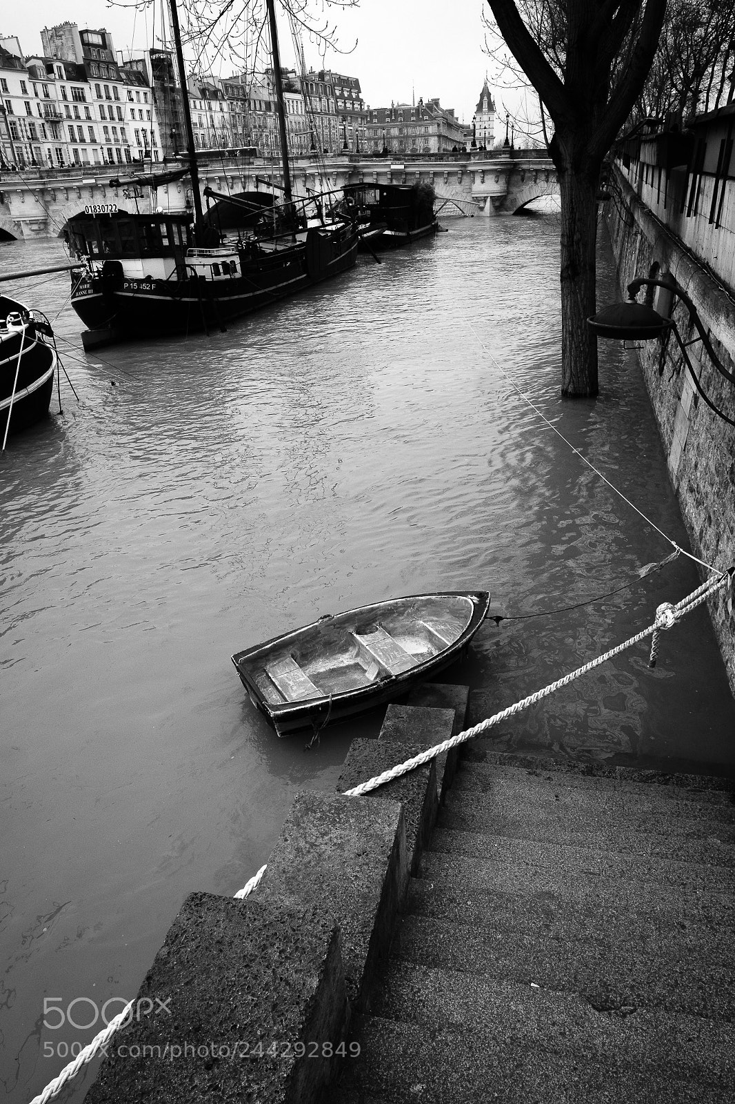 Fujifilm X-Pro2 sample photo. Paris, crue de la photography