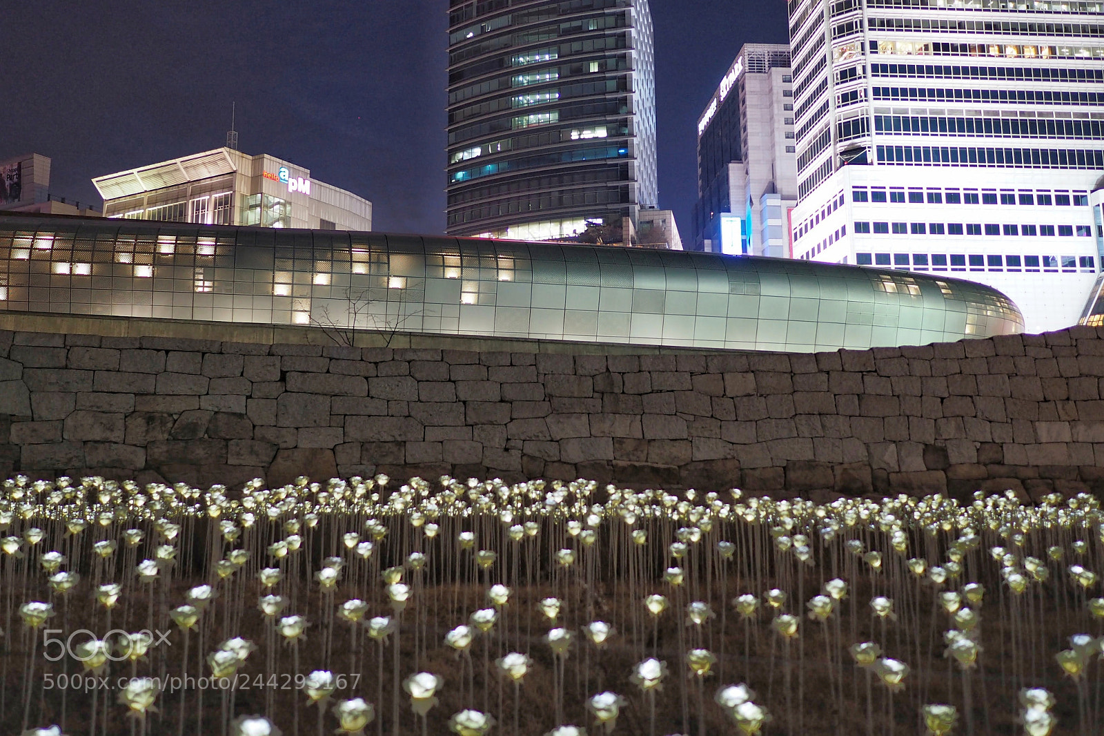 Olympus OM-D E-M10 II sample photo. Flower garden photography
