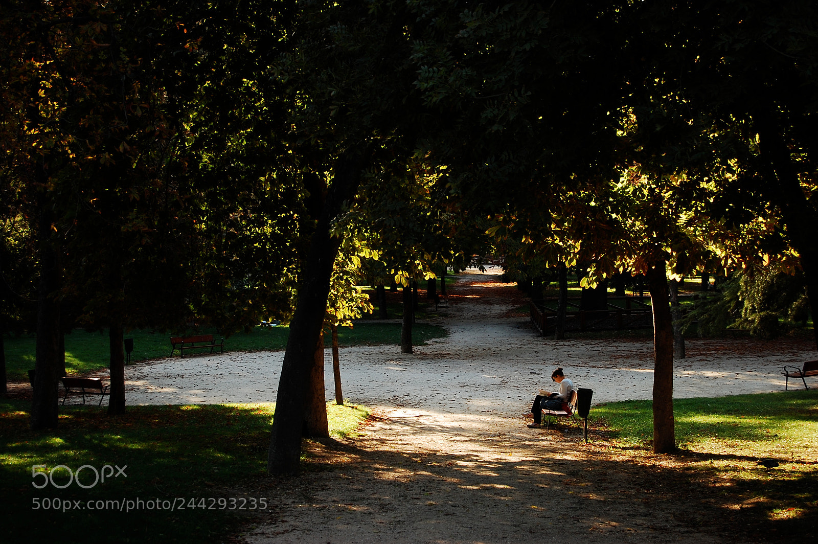 Nikon D40 sample photo. A woman reads a photography