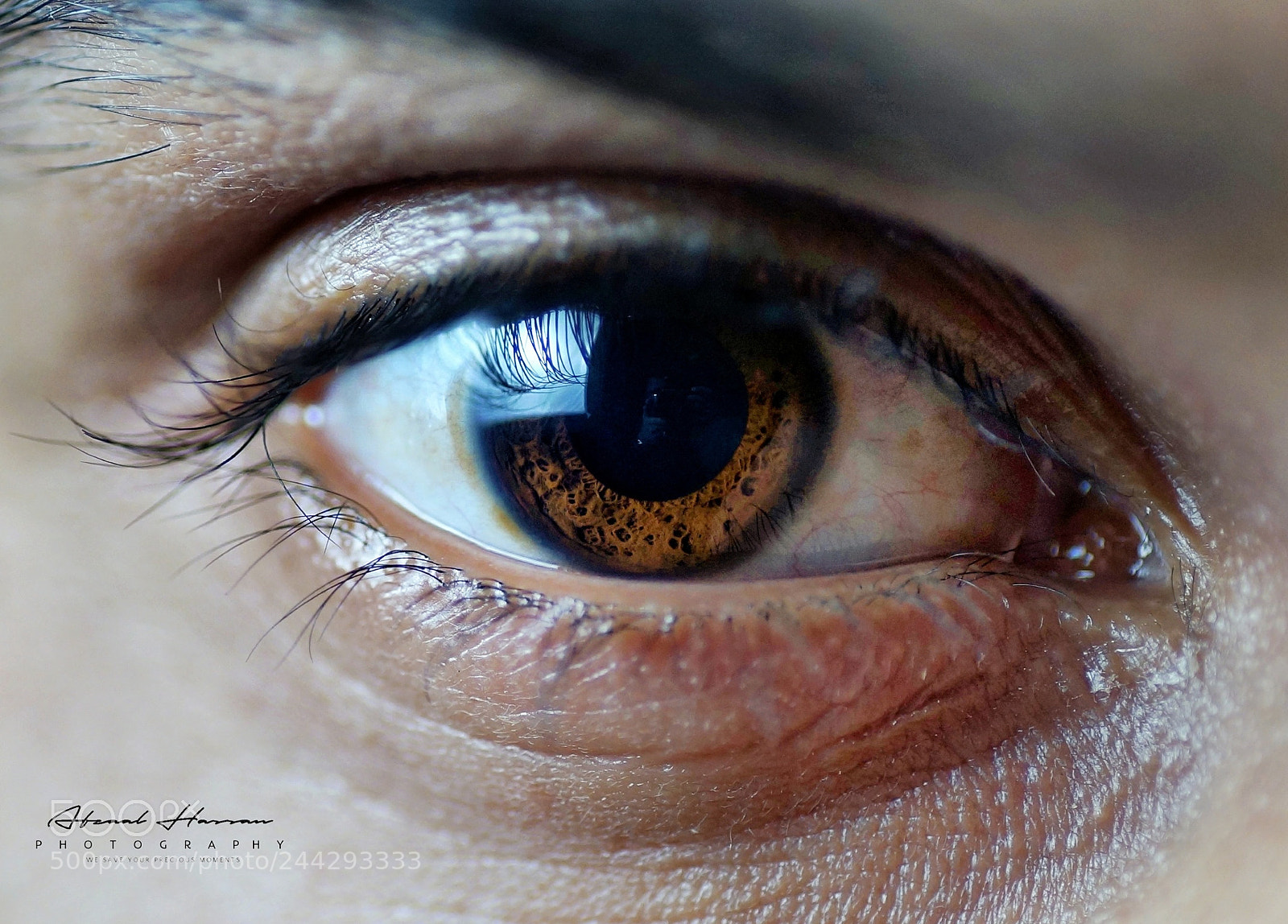 Sony SLT-A99V sample photo. Eye details ❤️ photography