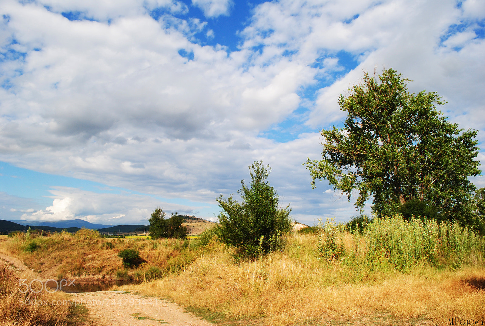 Nikon D3000 sample photo. Stunning nature photography