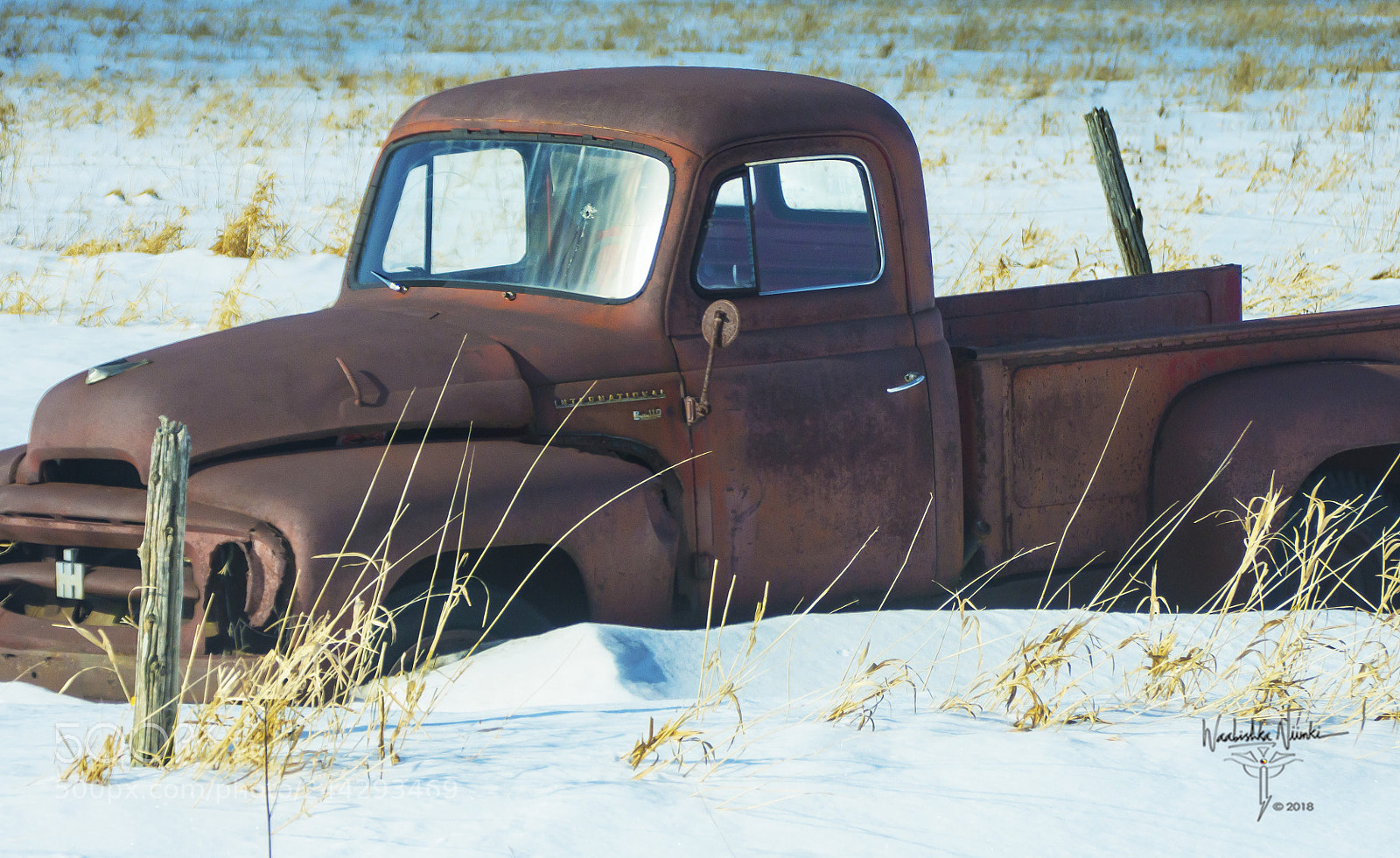 Nikon D7200 sample photo. Stopped dead cold photography