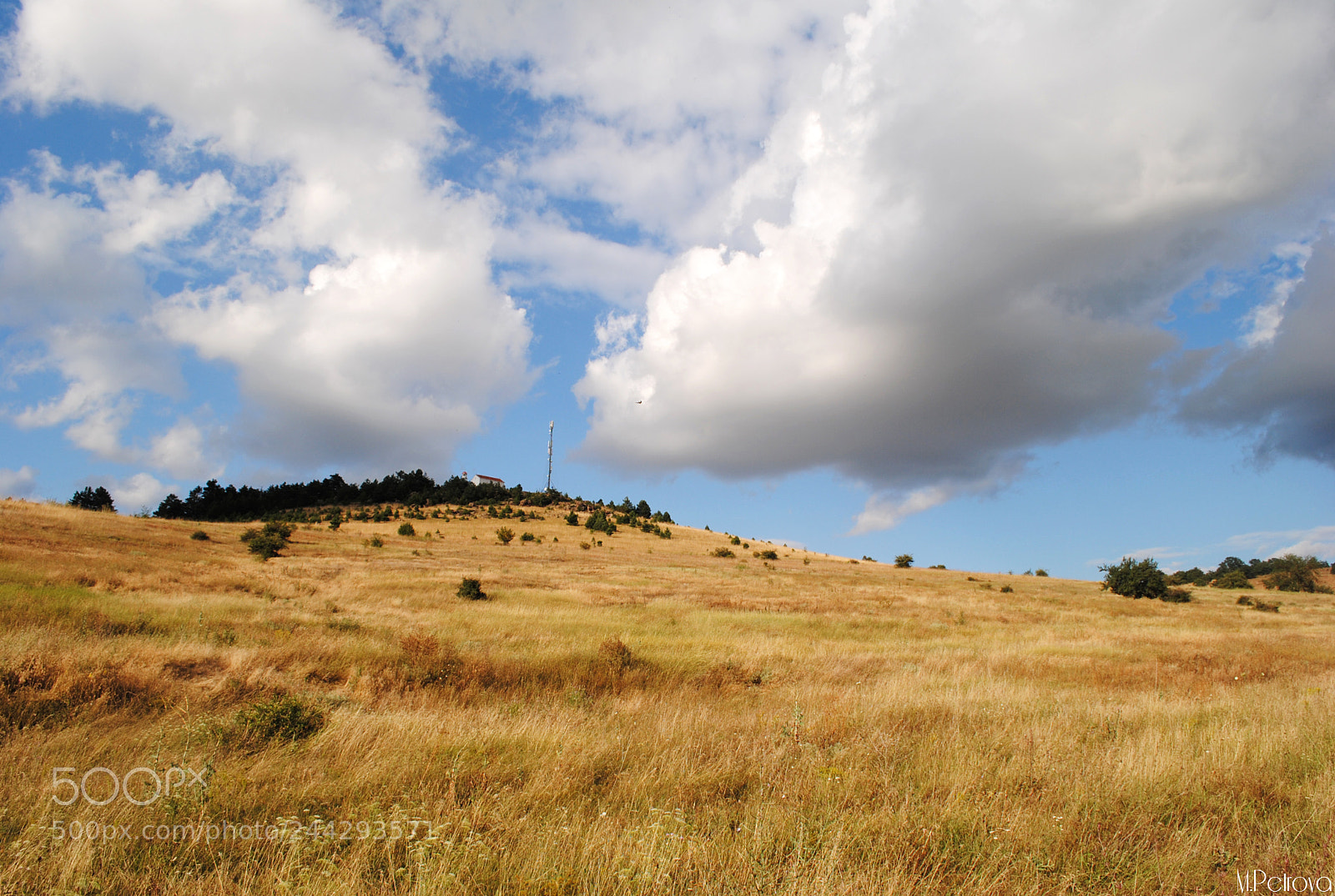 Nikon D3000 sample photo. Going up the hill photography
