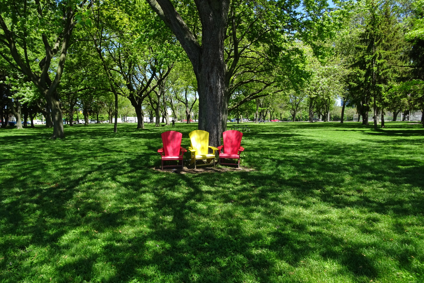 Sony Cyber-shot DSC-WX500 sample photo. 53@12 photography