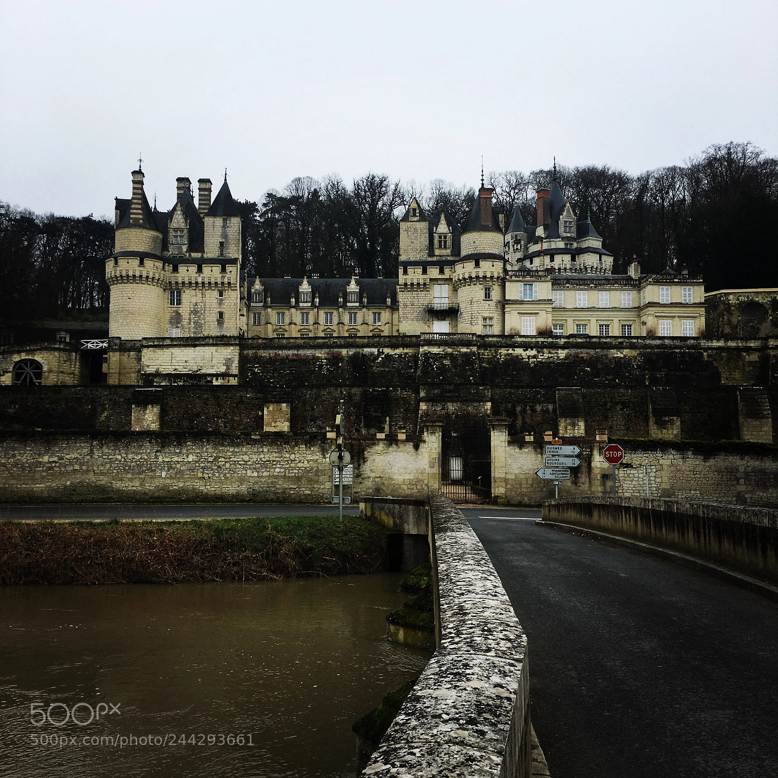 Apple iPhone 6s sample photo. Rigny-usse chateau, france photography