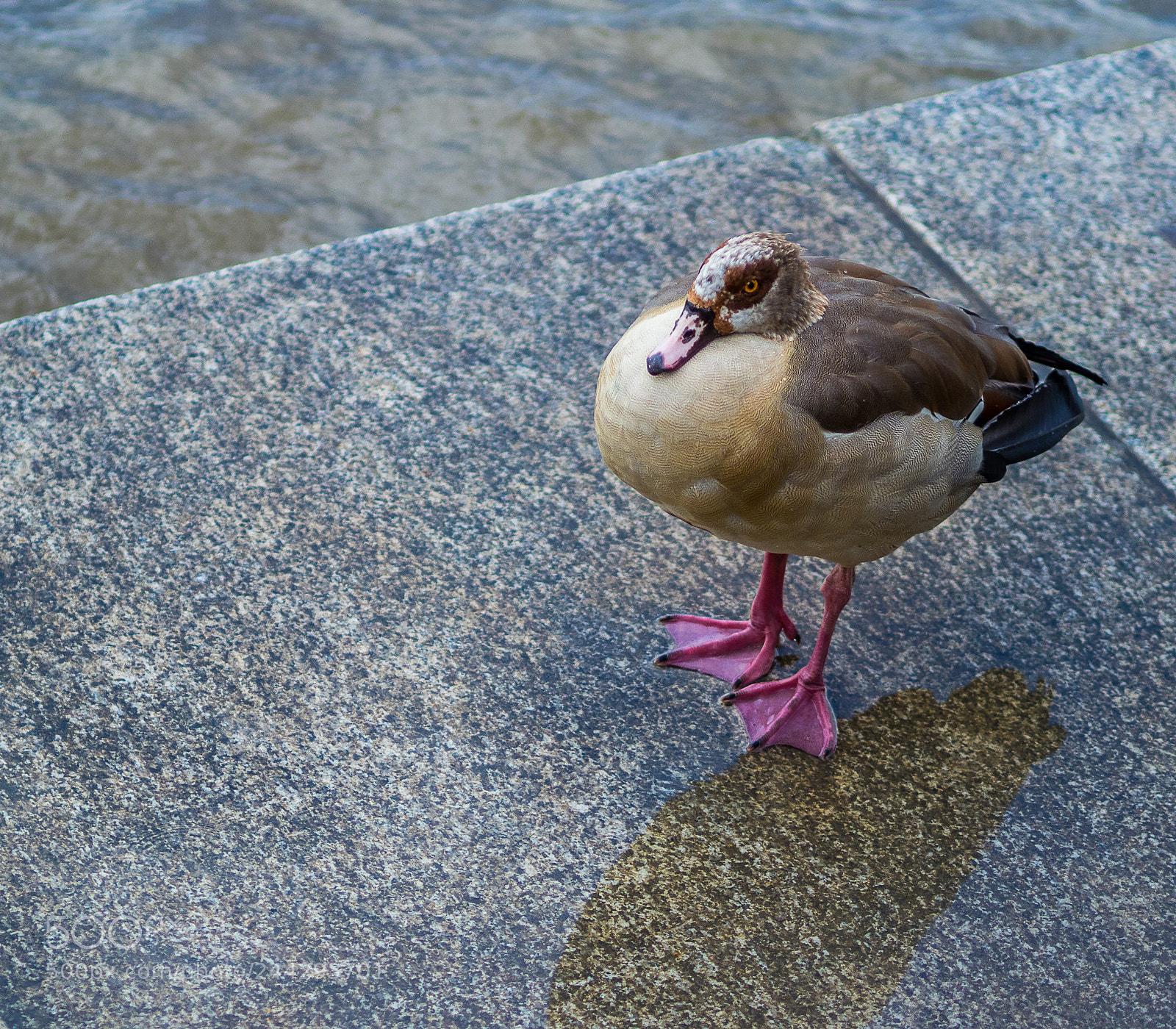 Olympus OM-D E-M1 Mark II sample photo. Olympus digital camera photography
