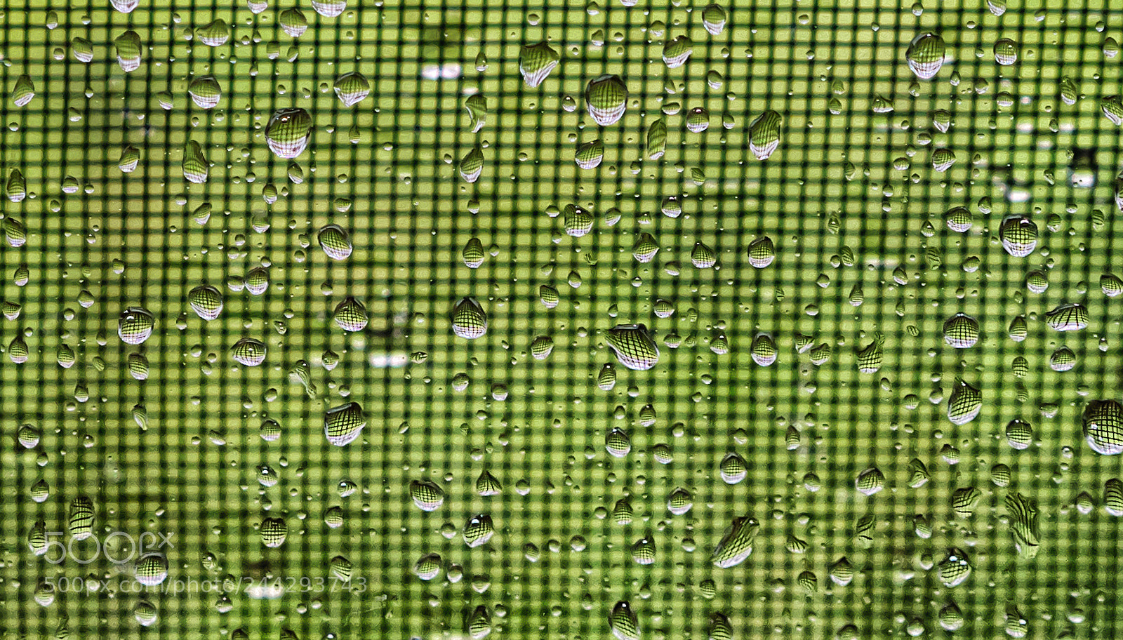 Sony a7 II sample photo. Rain photography