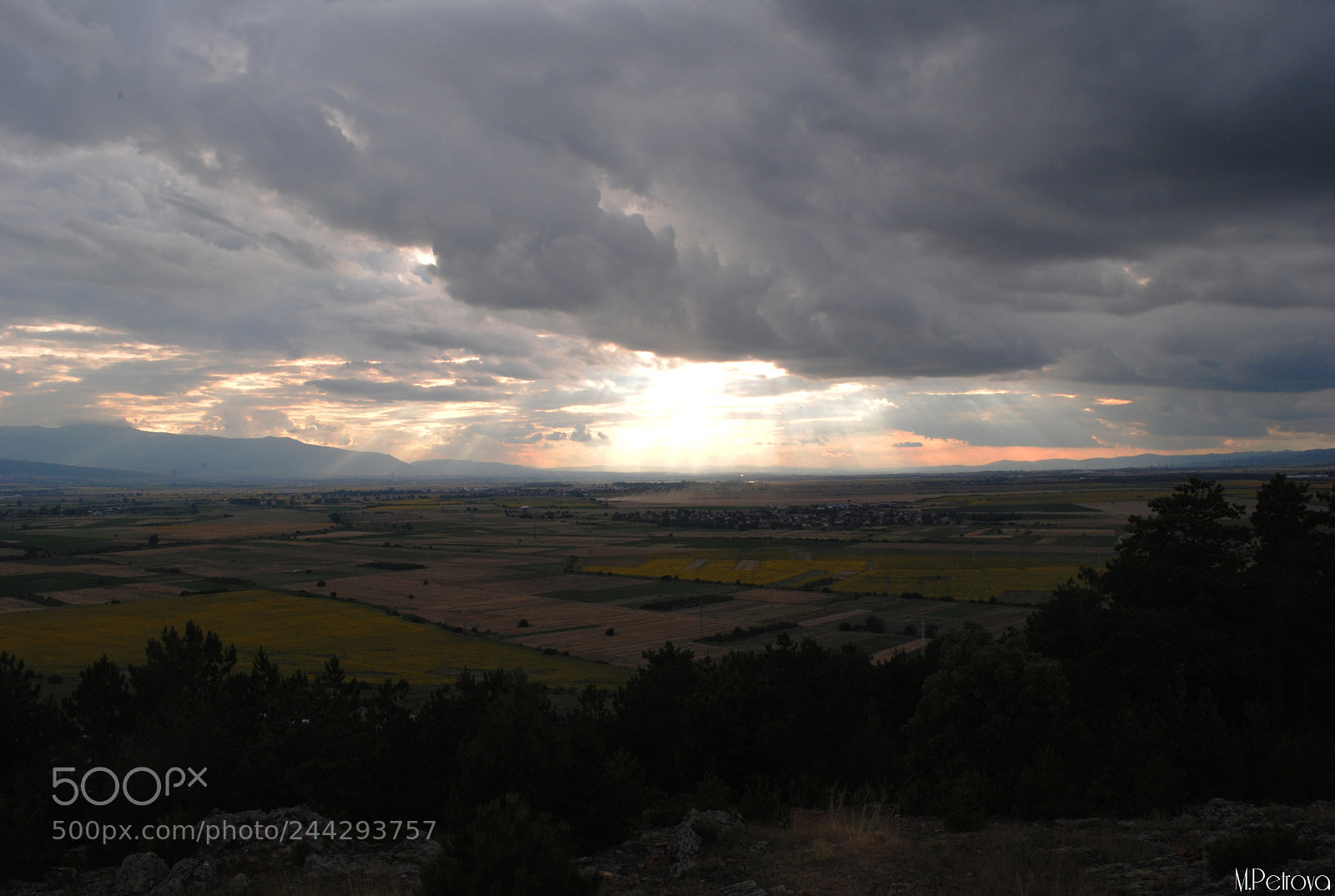 Nikon D3000 sample photo. Summer lights photography