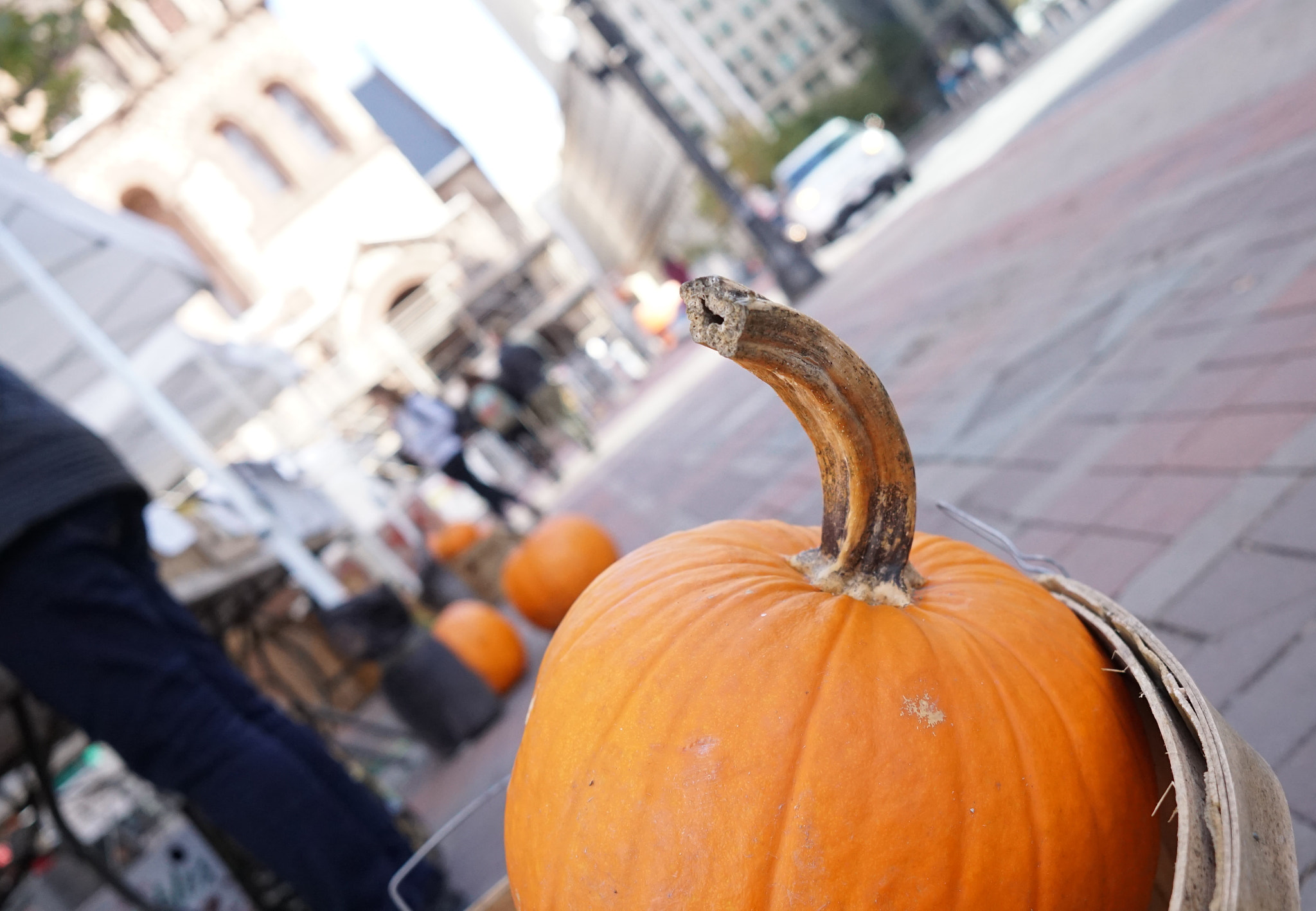 Sony a6000 + Sigma 19mm F2.8 EX DN sample photo. Pumpkin in copley sq boston ma # two photography