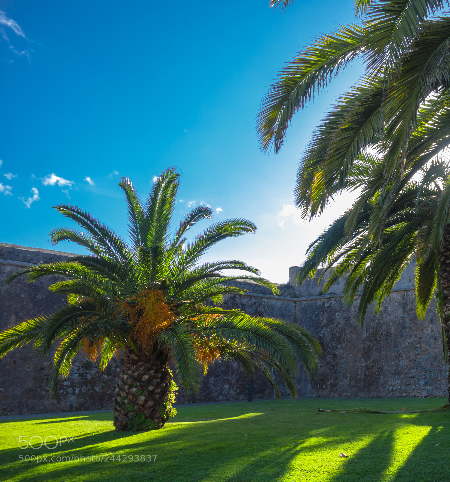 Sony Cyber-shot DSC-RX100 sample photo. Citadella cascais photography