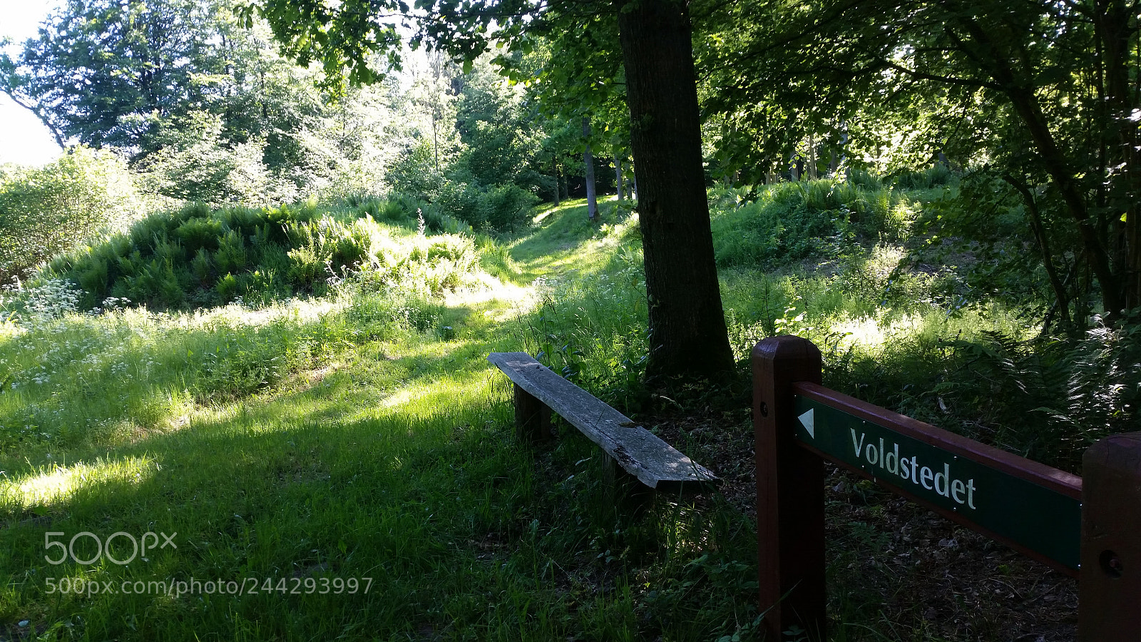 Samsung Galaxy S5 sample photo. 20170602_175626.jpg photography