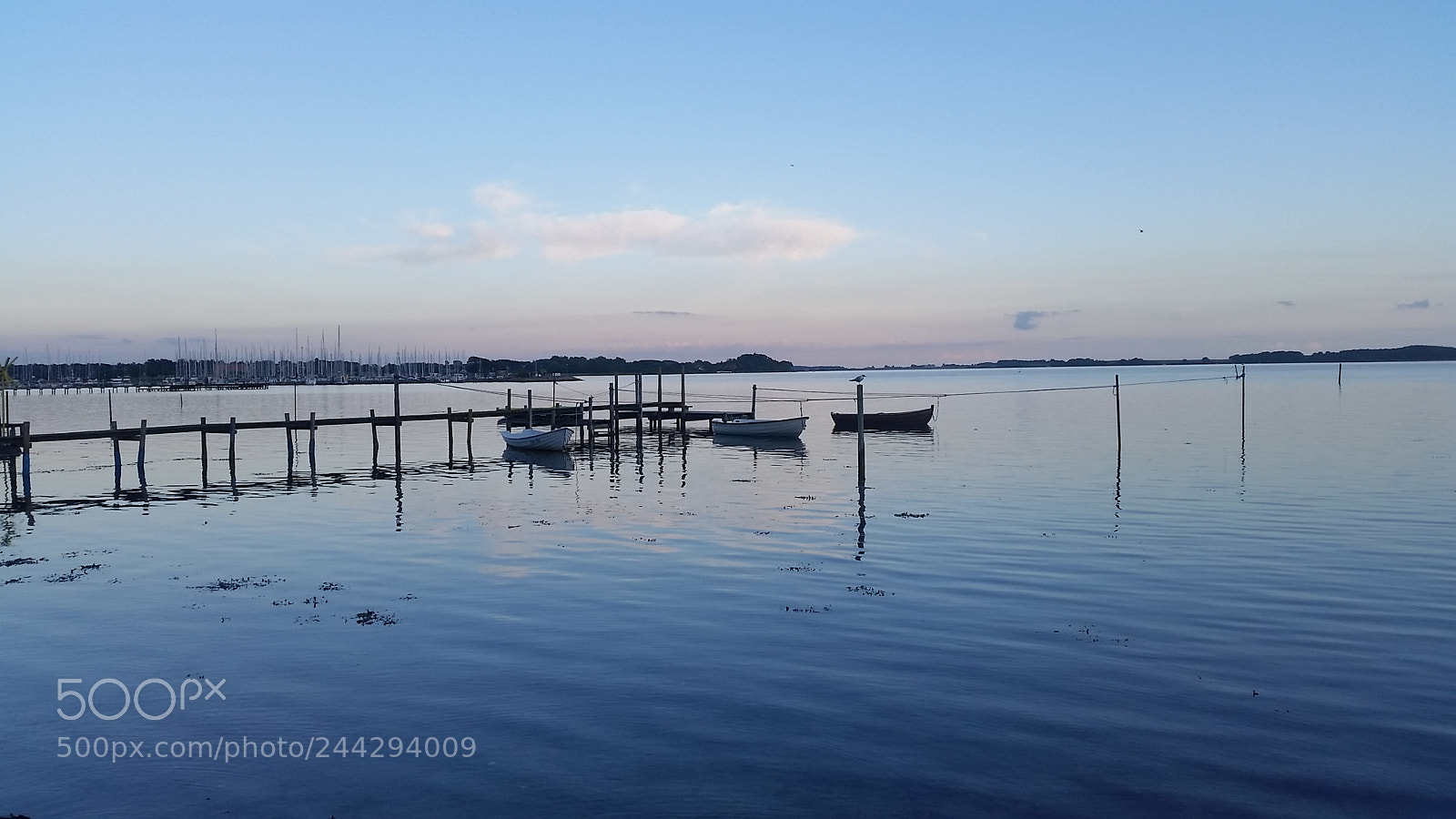Samsung Galaxy S5 sample photo. 20170723_210335.jpg photography