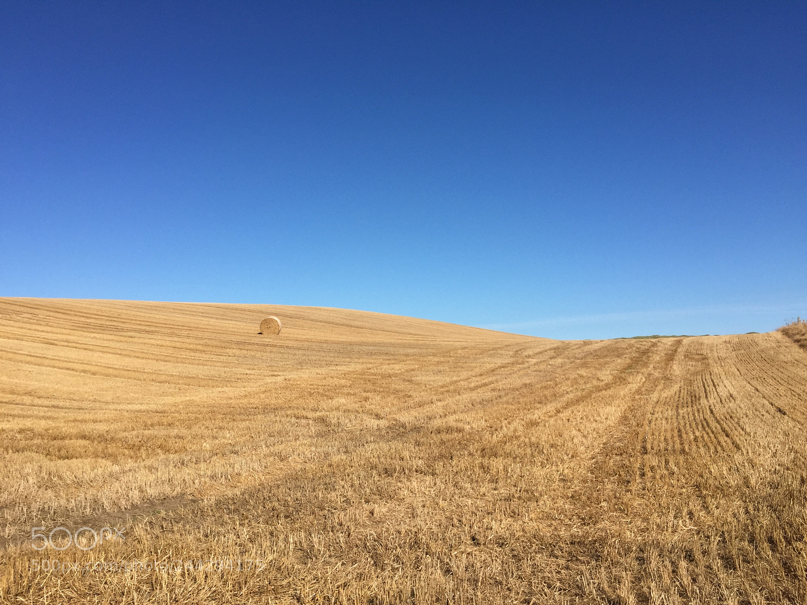 Apple iPhone 6 sample photo. Field of hay in photography