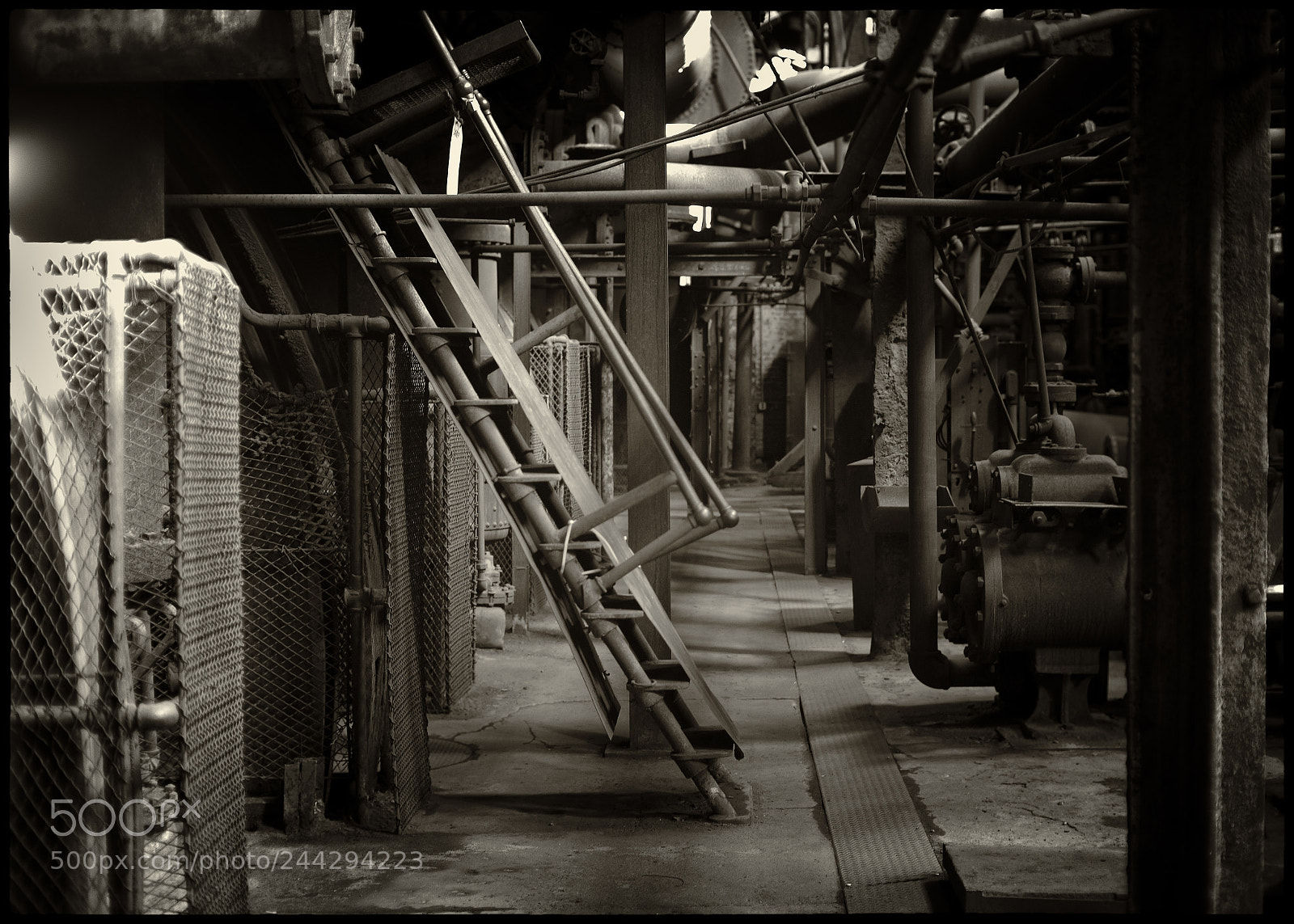 Leica M Monochrom (Typ 246) sample photo. A stairway photography