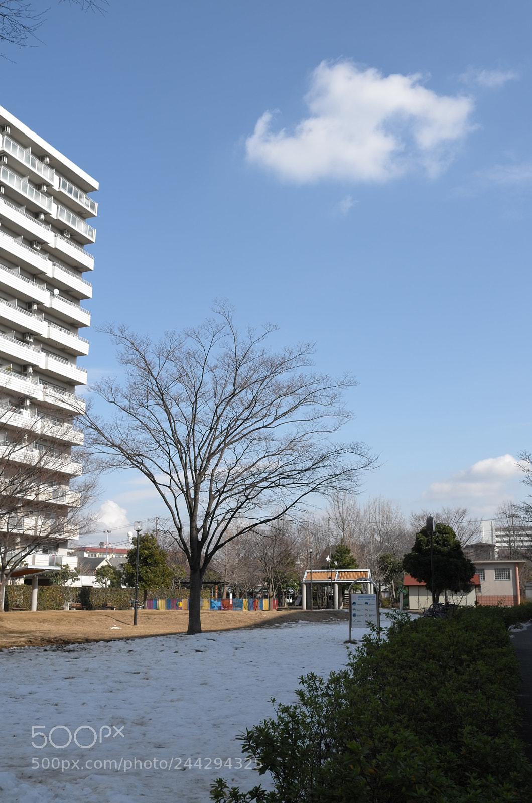 Leica X2 sample photo. 残雪 photography