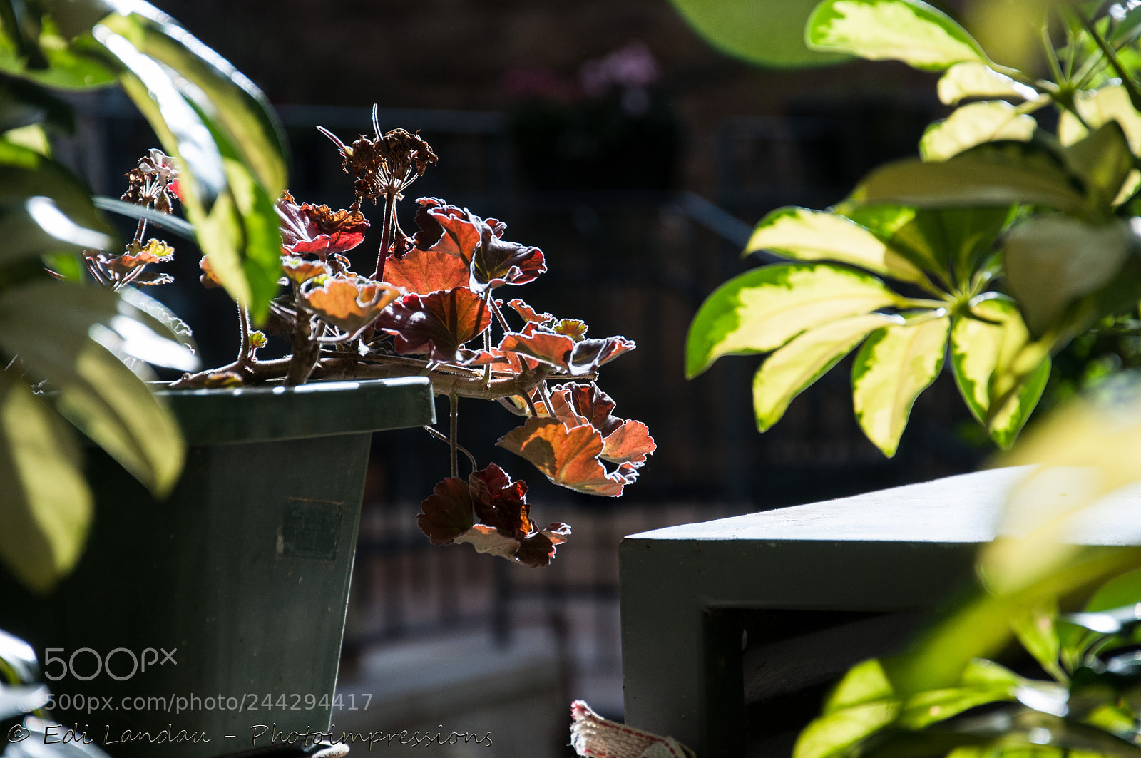 Nikon D5000 sample photo. Winter will soon be photography