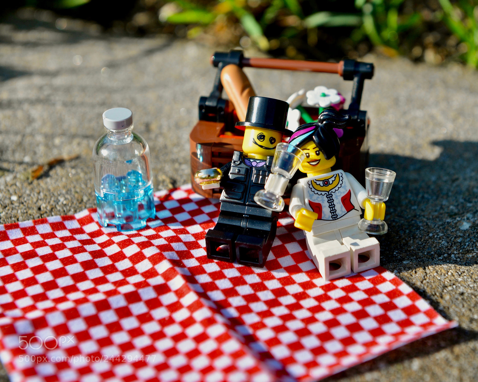 Nikon D610 sample photo. The anniversary picnic photography
