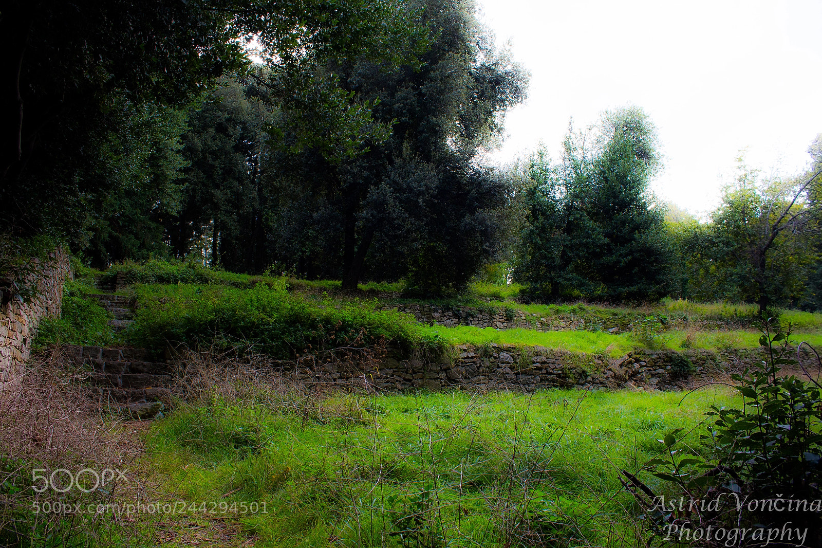 Canon EOS 650D (EOS Rebel T4i / EOS Kiss X6i) sample photo. Abandoned fields photography