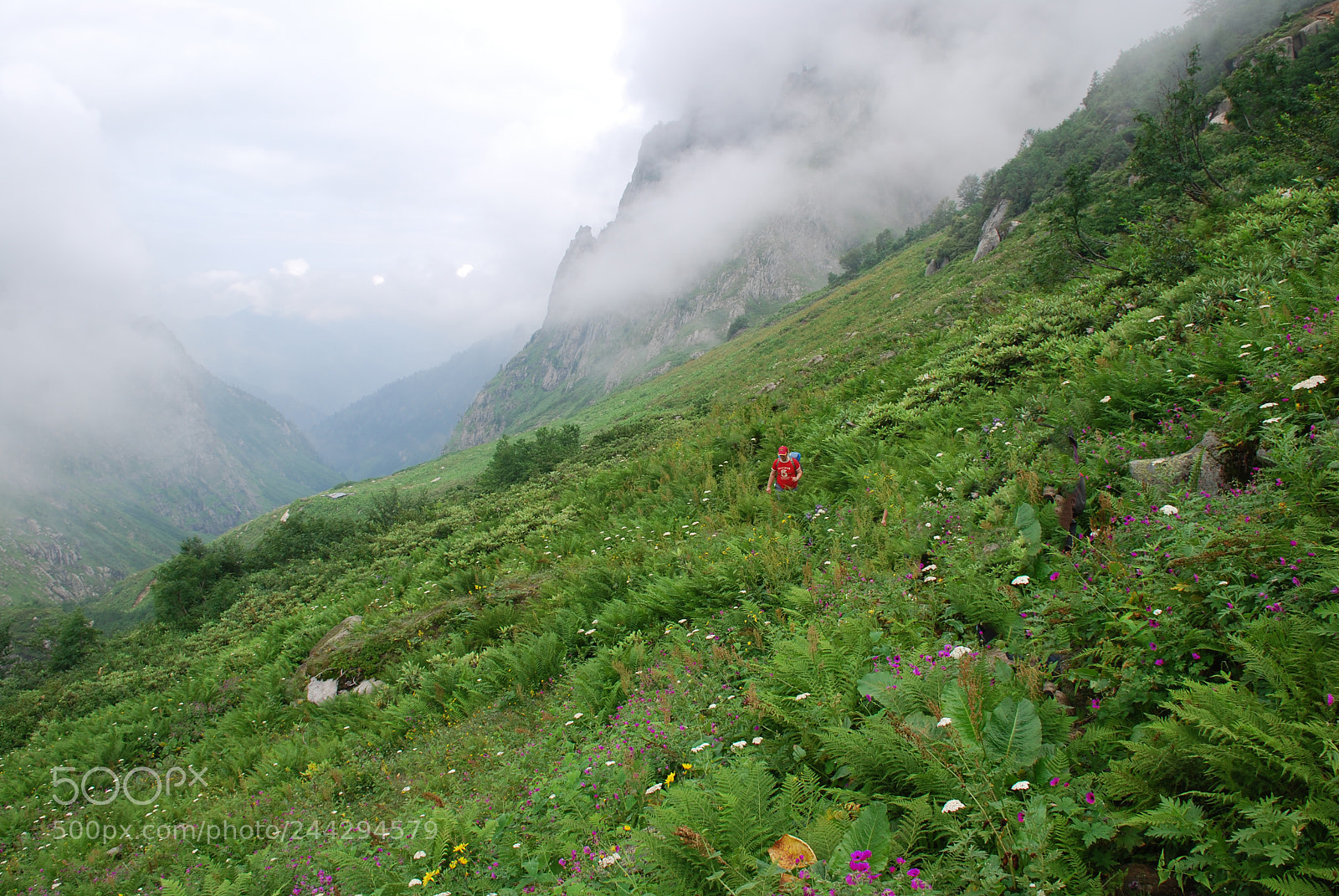 Nikon D40X sample photo. Artvin turkey photography