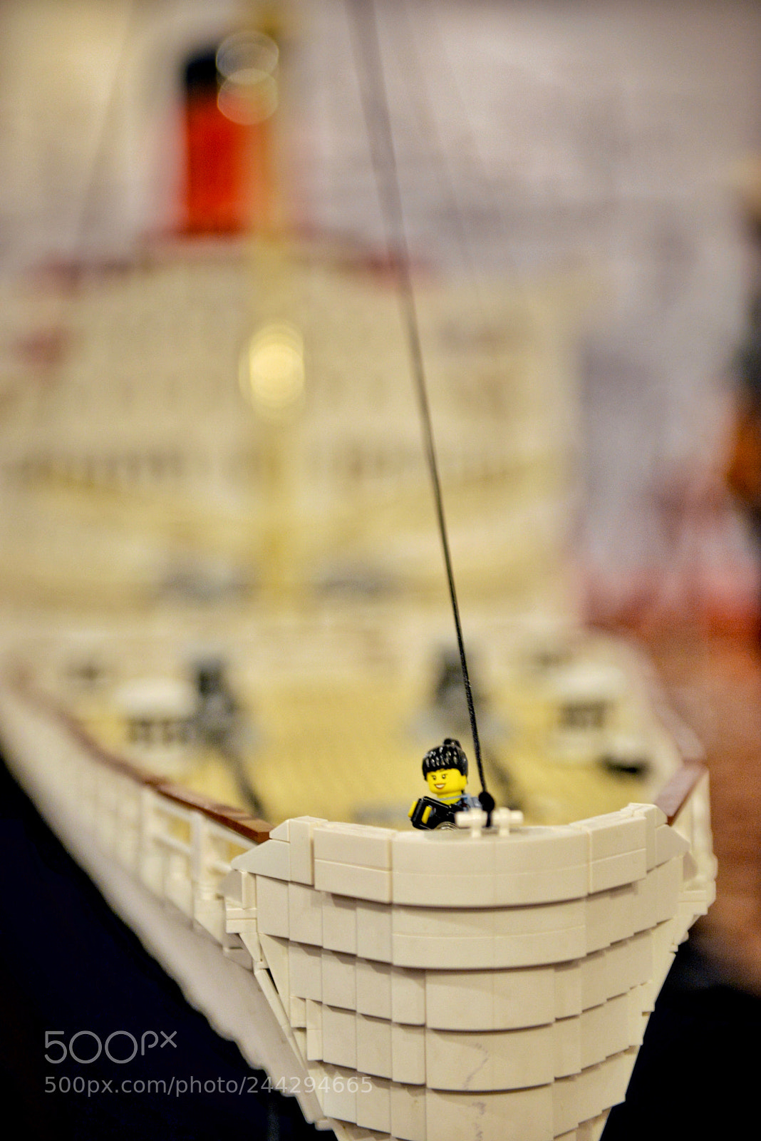 Nikon D610 sample photo. Brave new bow photography