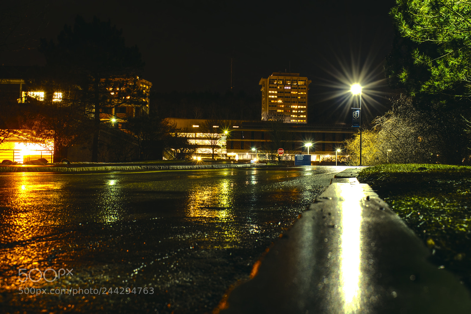 Nikon D5600 sample photo. The first rainfall. photography