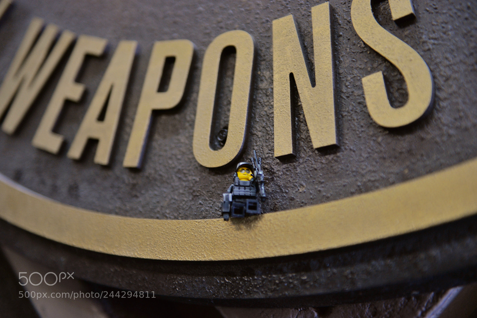 Nikon D610 sample photo. Special weapons photography