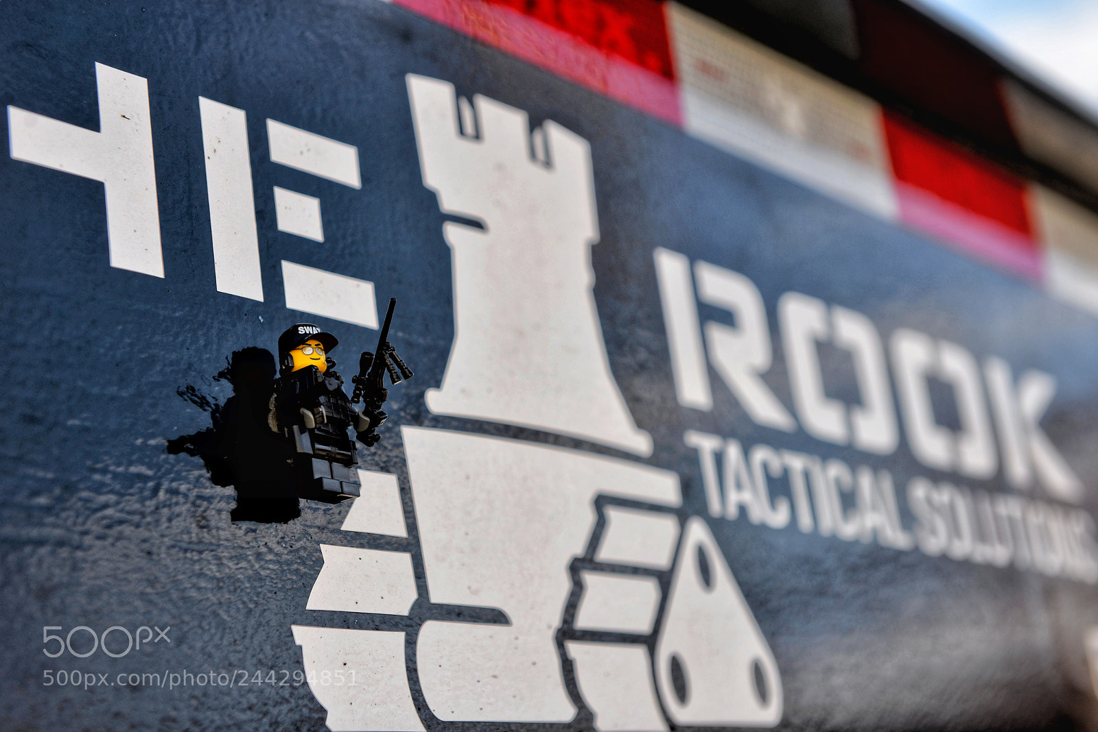 Nikon D610 sample photo. Rook[ie] photography