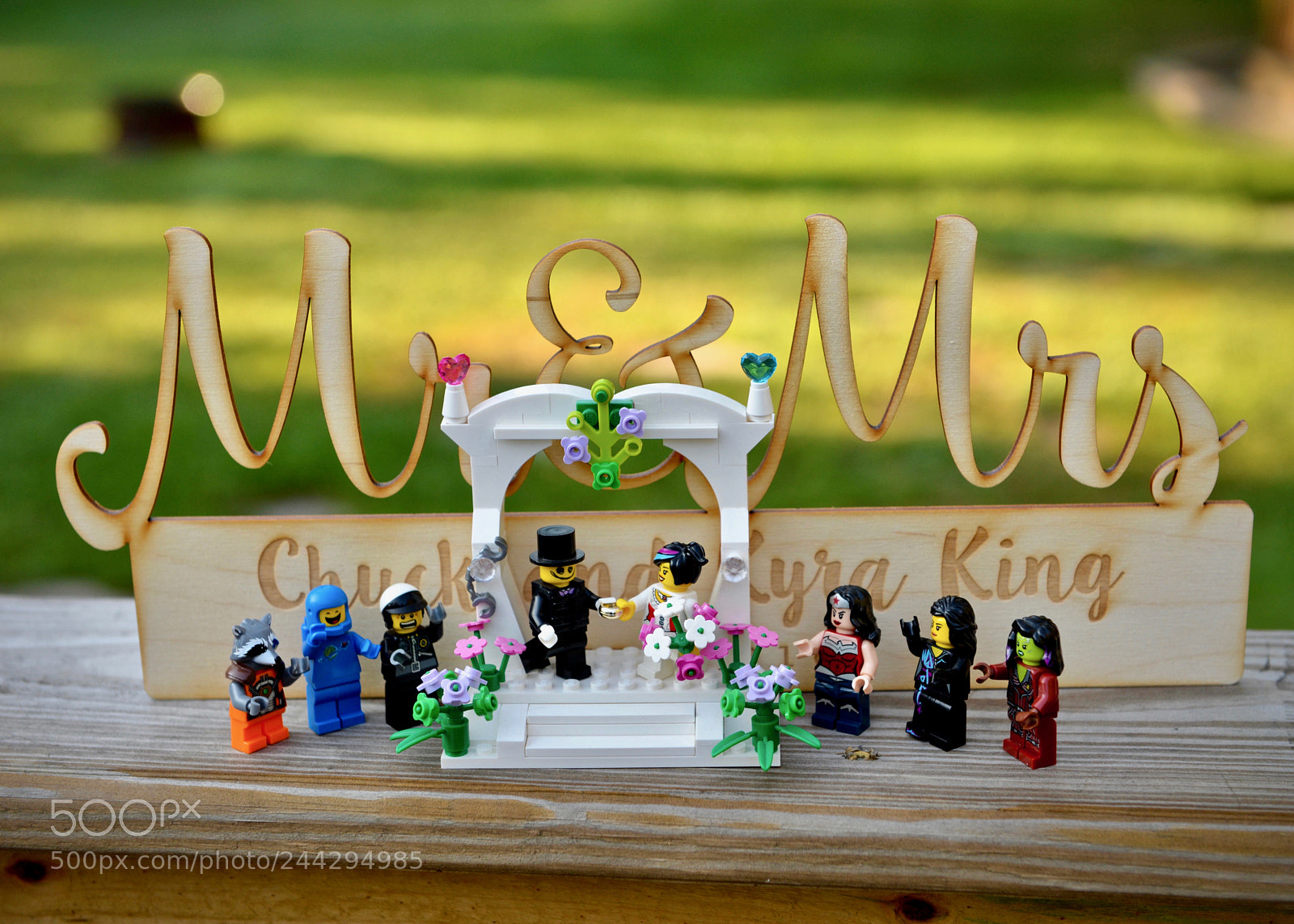 Nikon D610 sample photo. A year already? photography