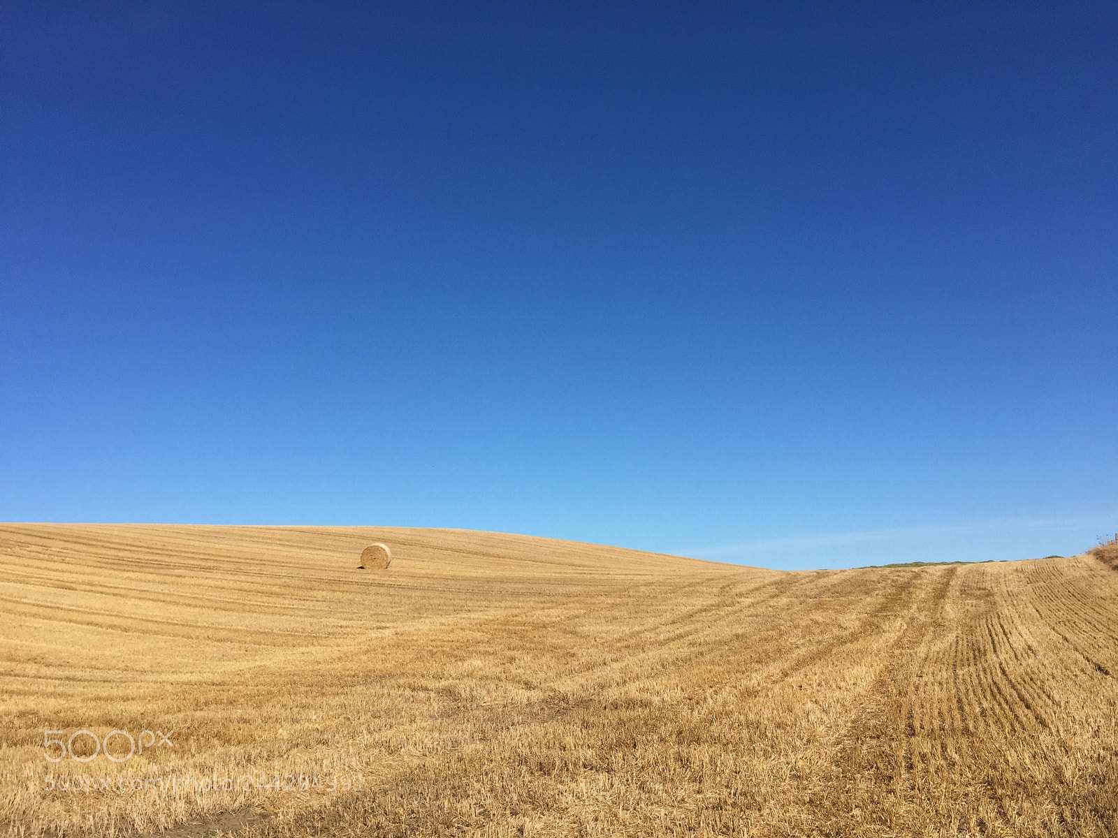 Apple iPhone 6 sample photo. Field of hay in photography