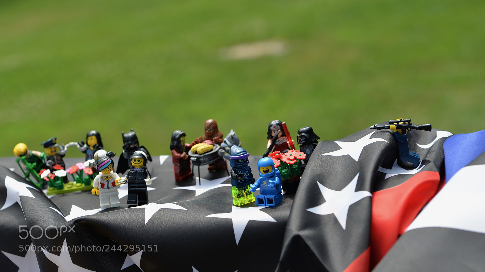 Nikon D610 sample photo. 4th of july at photography