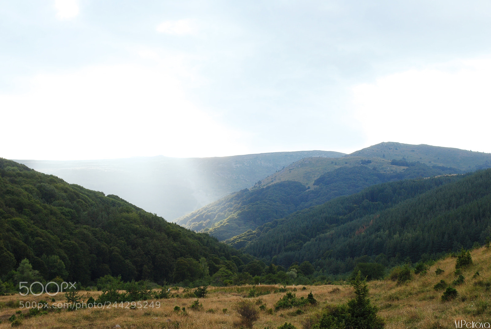 Nikon D3000 sample photo. Sunlight ii photography