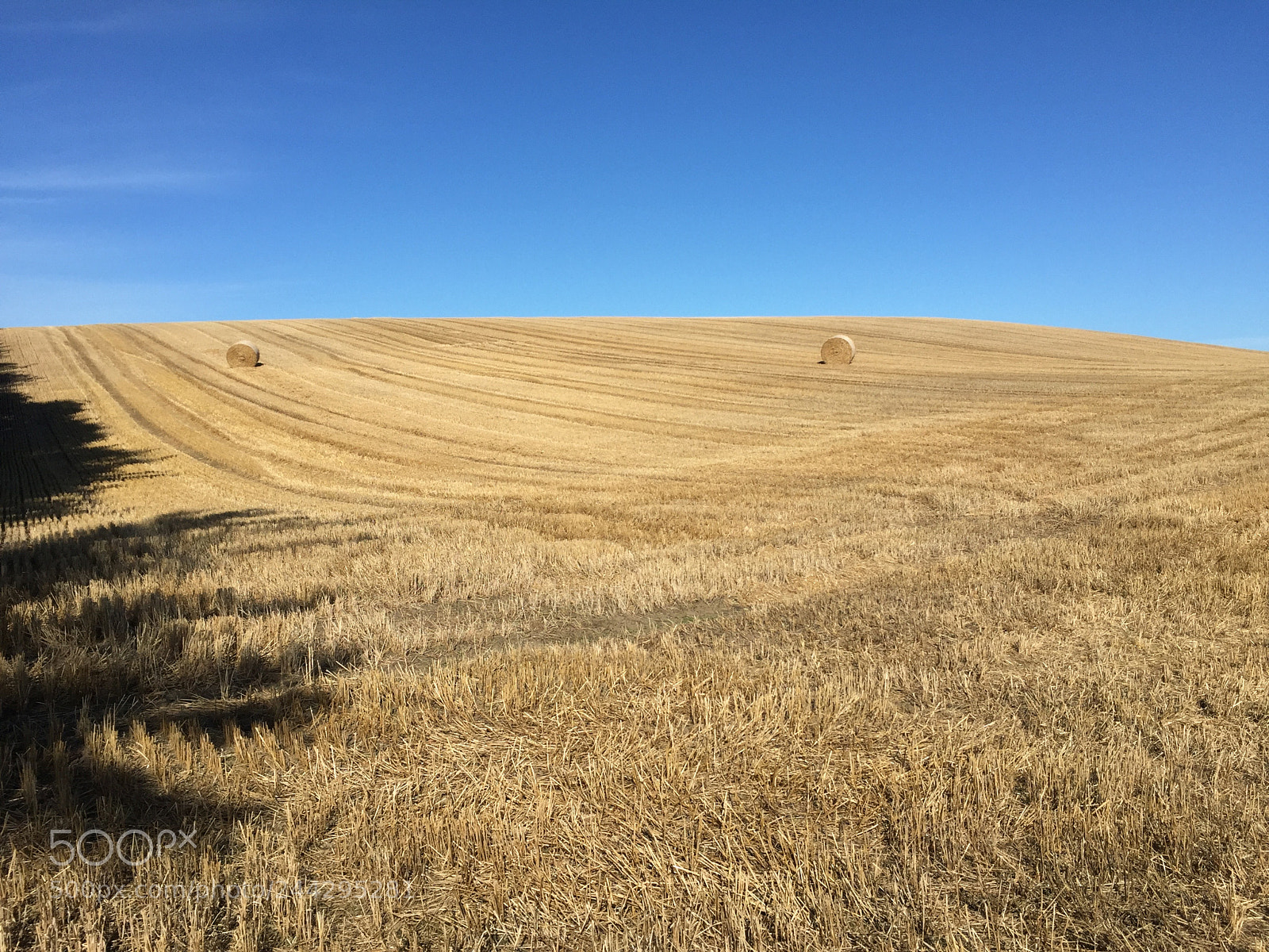 Apple iPhone 6 sample photo. Field of hay in photography