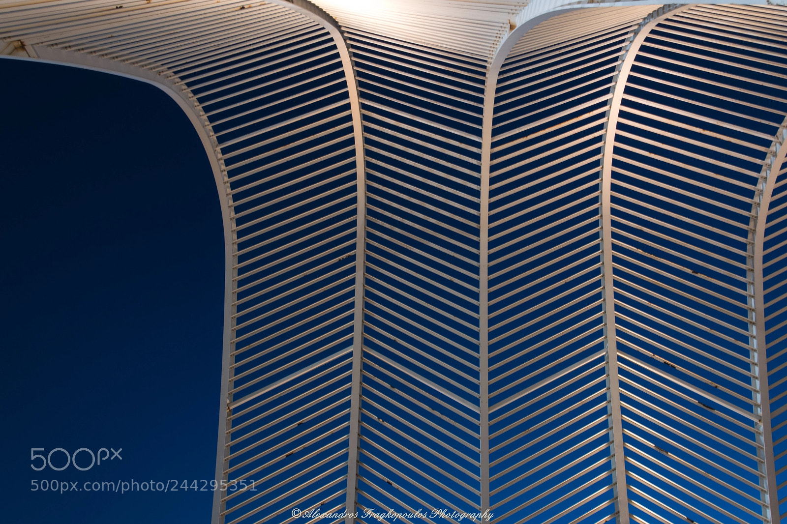 Nikon D5600 sample photo. Curved lines photography