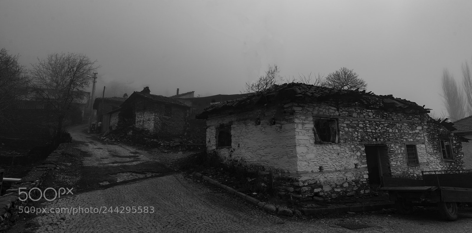 Nikon D610 sample photo. Sİs photography