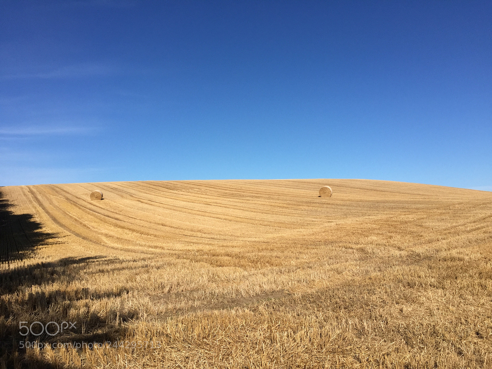 Apple iPhone 6 sample photo. Field of hay in photography