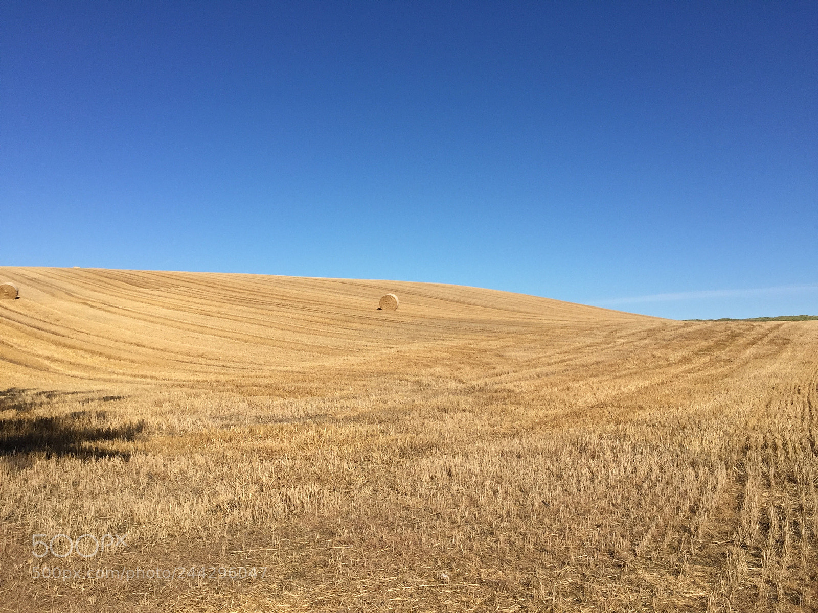 Apple iPhone 6 sample photo. Field of hay in photography
