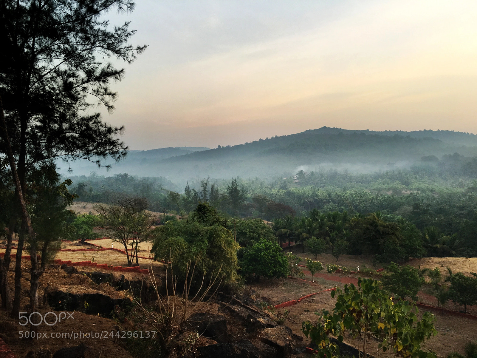 Apple iPhone 6s sample photo. Morning walk photography