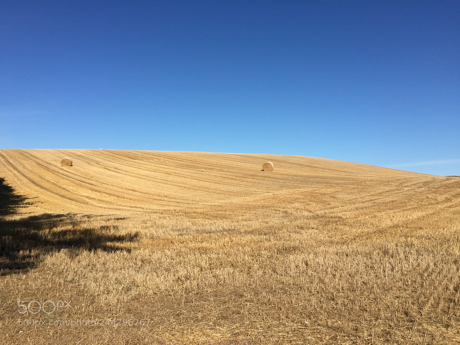 Apple iPhone 6 sample photo. Field of hay in photography