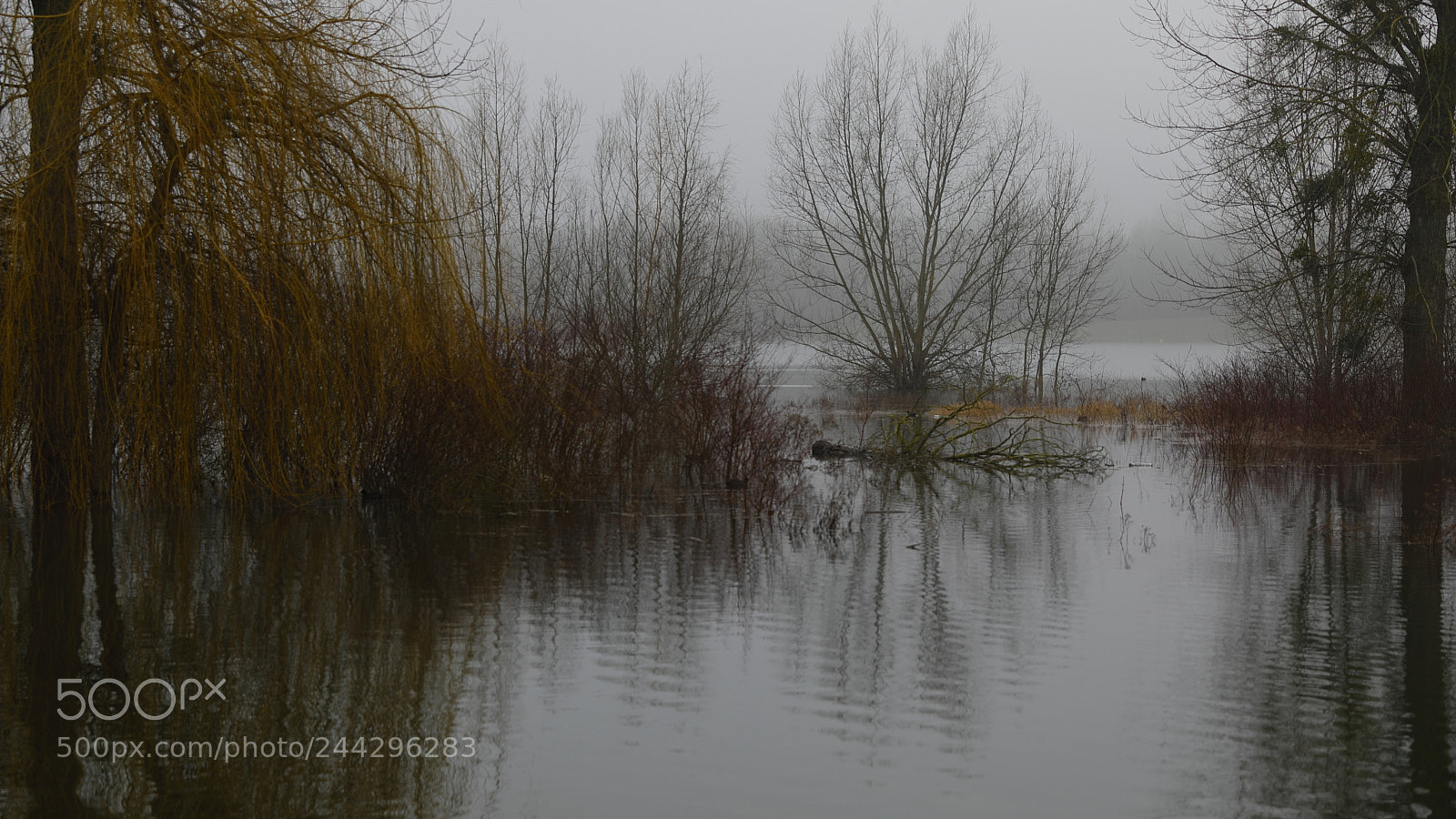 Canon EF 24-70mm F2.8L II USM sample photo. Torcy photography